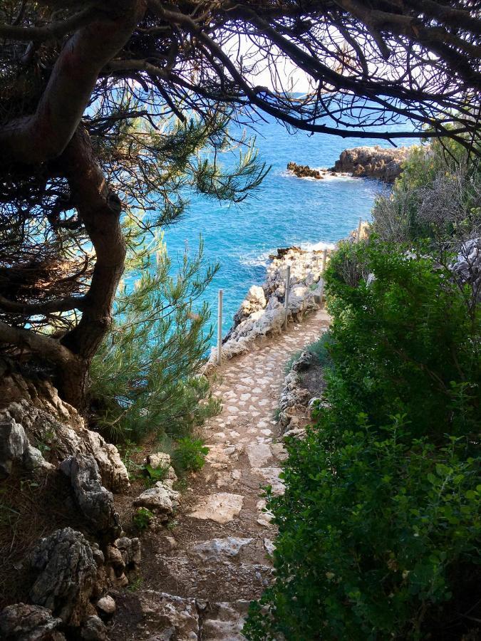 Artistic Antibes Apartment Ngoại thất bức ảnh