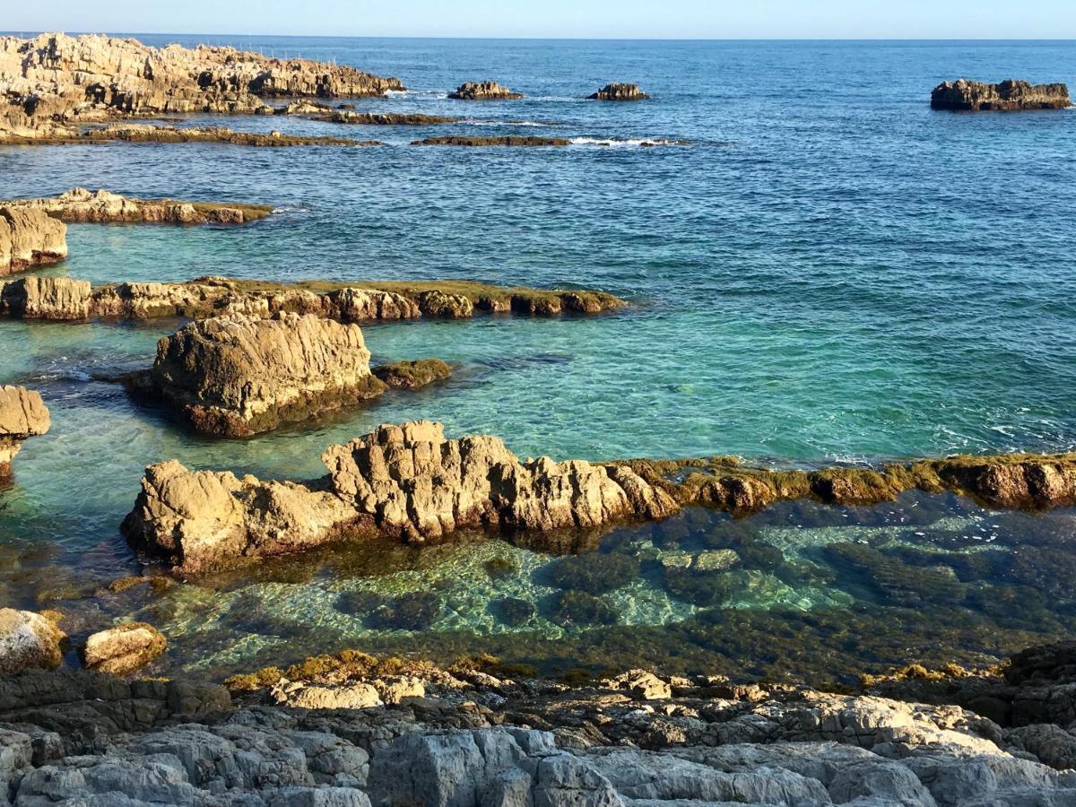 Artistic Antibes Apartment Ngoại thất bức ảnh
